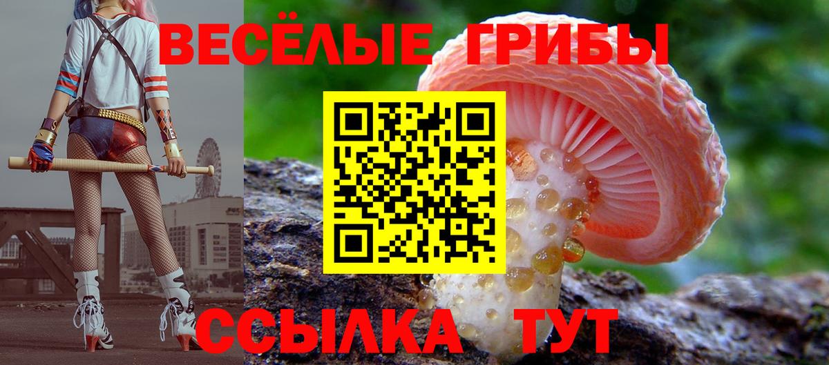 Пугачёв  Галлюциногенные грибы Magic Shrooms  Вход с VPN 