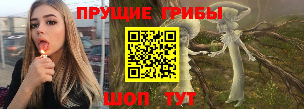 Галлюциногенные грибы прущие грибы Пугачёв